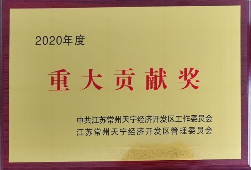 2020年（nián）重大貢獻獎